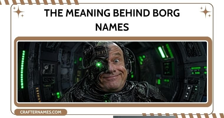 The Meaning Behind Borg Names