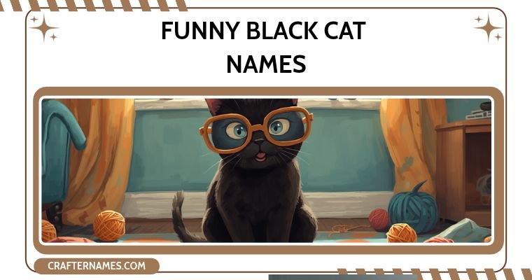 Funny Black Cat Names