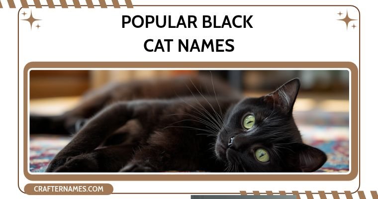 Popular Black Cat Names